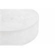 Thurman Coffee Table in Ivory