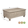 Monte Floral Carved Solid Wood Lift-Top Coffee Table in Weathered White