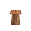 Taran Designs Darcy Live Edge Solid Wood End Table in Brown
