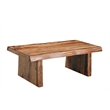 Taran Designs Darcy Live Edge Solid Wood Coffee Table in Brown