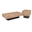 2-Piece Solid Wood Coffee and End Table Set Brown Mango Wood