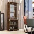 Boahaus Stirling 4-Door Wood Bar Cabinet with Lights in Dark Brown