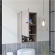 Boahaus Almada Medicine Cabinet  (Gray)