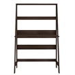Boahaus Gumi Walnut Ladder Computer Desk