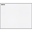 Saint Birch Rectangular 2-Drawer Modern Wood File Cabinet in White
