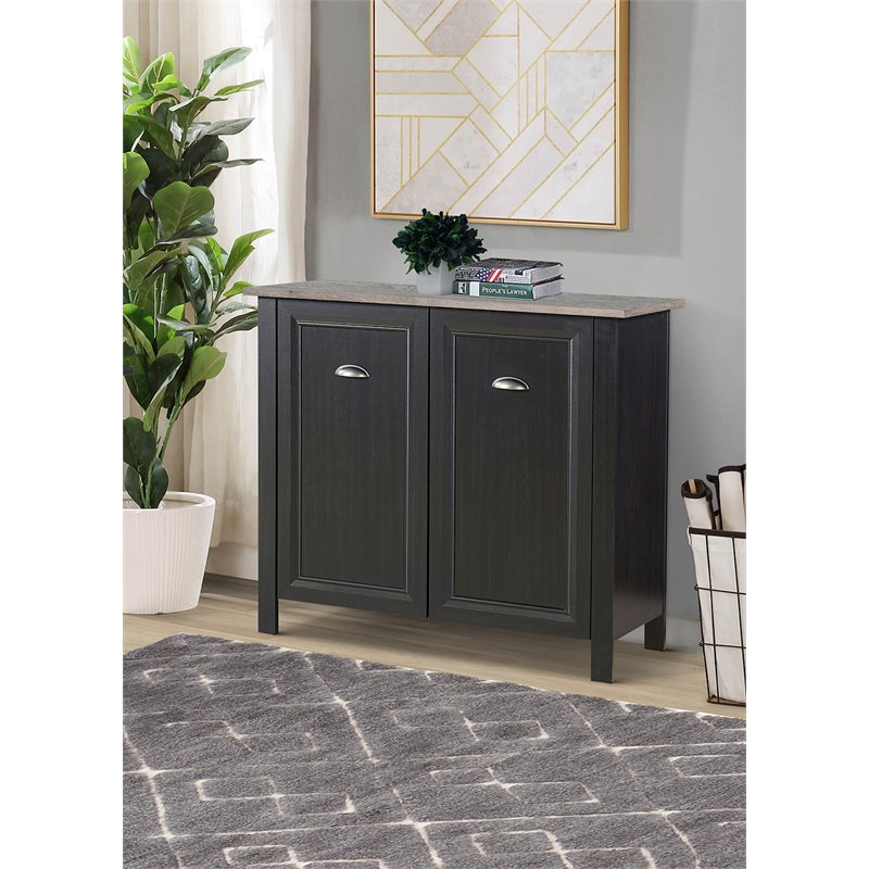 Saint Birch Ansel 2-Door Modern Wood Storage Cabinet in Black