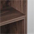 Saint Birch Bombay 5-Shelf Modern Wood Expandable Bookcase in Walnut
