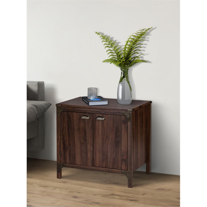 Saint Birch Logan 2-Door Transitional Wood Storage Cabinet in Walnut