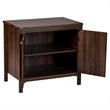 Saint Birch Logan 2-Door Transitional Wood Storage Cabinet in Walnut