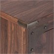 Saint Birch Logan 2-Door Transitional Wood Storage Cabinet in Walnut
