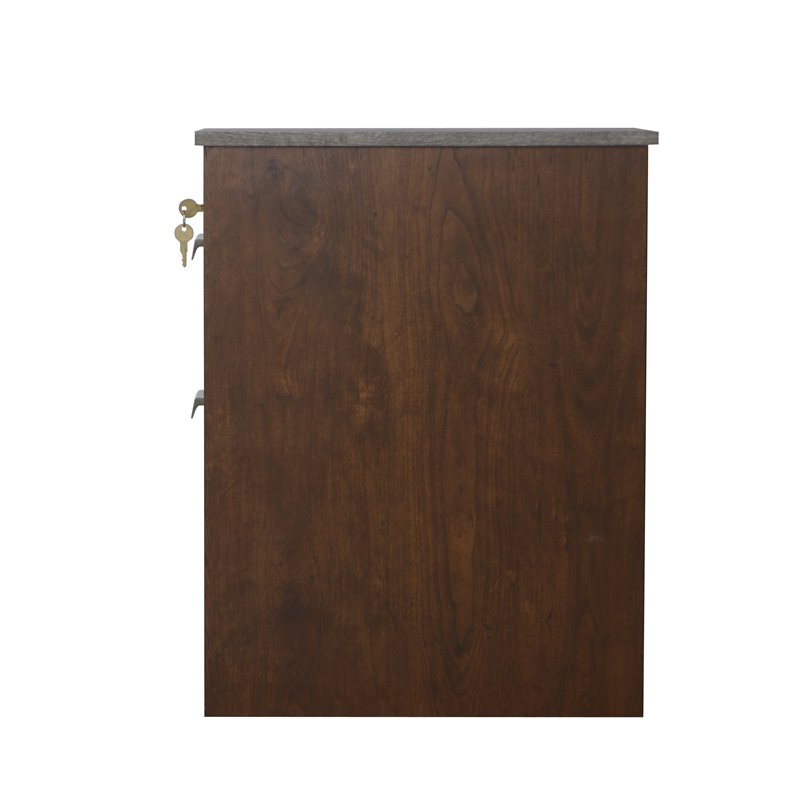 Saint Birch Kenneth 2-Drawer Modern Wood File Cabinet in Cherry/Gray