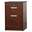 Saint Birch Kenneth 2-Drawer Modern Wood File Cabinet in Cherry/Gray