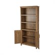 Saint Birch Houston 2-Door Farmhouse Wood Bookcase in Rustic Brown