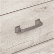 Saint Birch Honduras Wood Coffee Table With 2 Drawers in Washed Gray