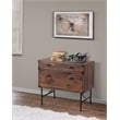 Saint Birch Bombay 1 Drawer Wood Lateral File Cabinet with Tray in Walnut