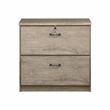 Saint Birch Honduras 2 Drawer Lateral Filing Cabinet in Gray Oak