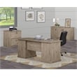 Saint Birch Honduras 2 Drawer Lateral Filing Cabinet in Gray Oak