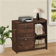 Saint Birch Elma 2-Drawer Modern Wood File Cabinet in Brown Rustic Oak