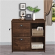 Saint Birch Elma 2-Drawer Modern Wood File Cabinet in Brown Rustic Oak