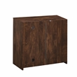 Saint Birch Elma 2-Drawer Modern Wood File Cabinet in Brown Rustic Oak