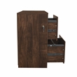 Saint Birch Elma 2-Drawer Modern Wood File Cabinet in Brown Rustic Oak