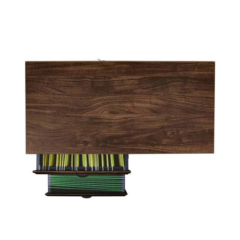 Saint Birch Elma 2-Drawer Modern Wood File Cabinet in Brown Rustic Oak