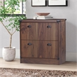 Saint Birch Engineered Wood Contemporary Lateral Filing Cabinet in Dark Walnut