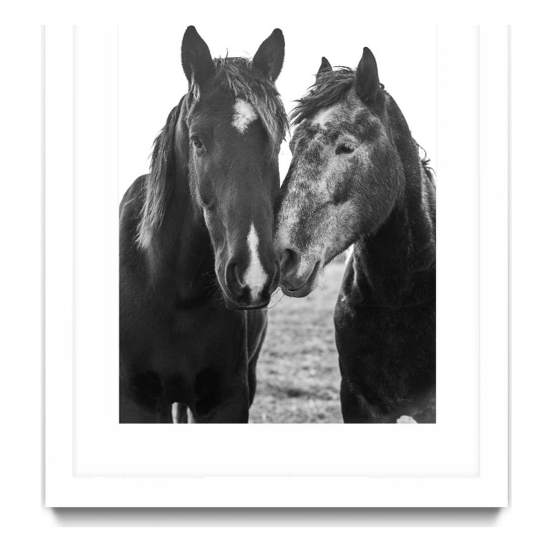 Giant Art 24x36 Good Friends Mane Matted and Framed in White