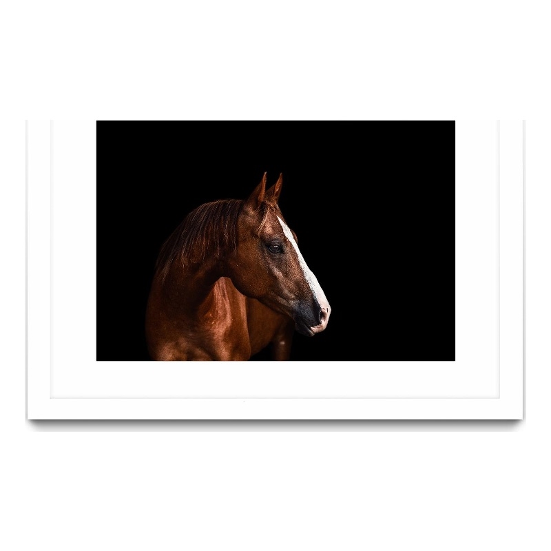 Giant Art 36x24 Too Shy Matted and Framed in Pink
