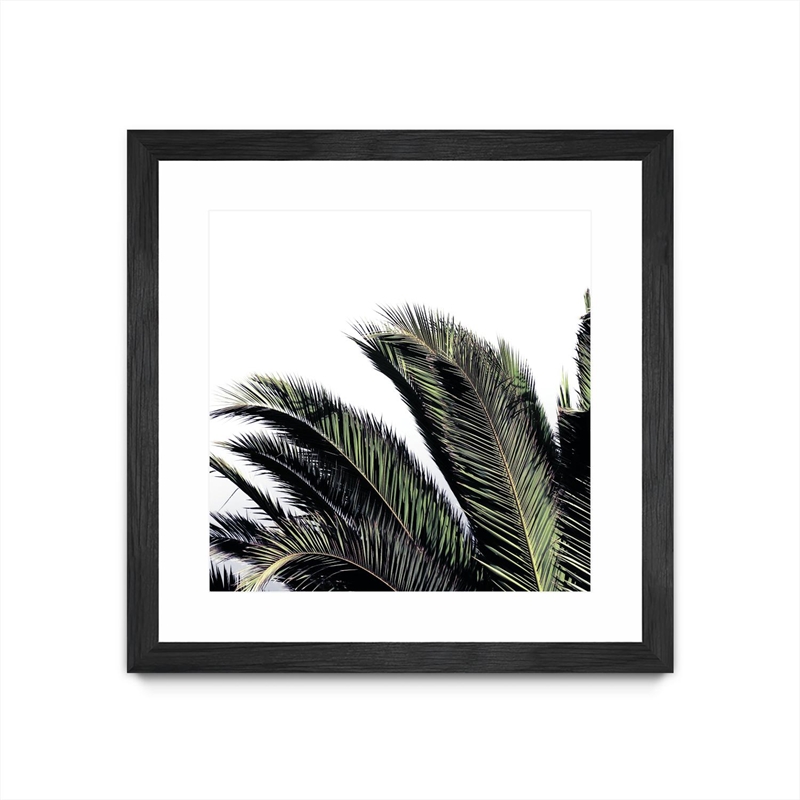 Giant Art 30x30 Cape Storm Matted and Framed in White