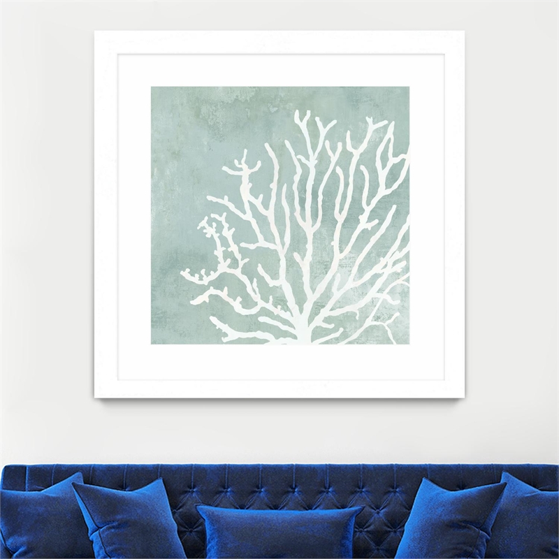 Giant Art 36x36 Sea Crown II Matted and Framed in Multi-Color