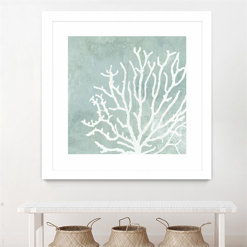 Giant Art 36x36 Sea Crown II Matted and Framed in Multi-Color