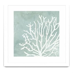 Giant Art 36x36 Sea Crown II Matted and Framed in Multi-Color