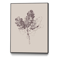 Prints / Paintings