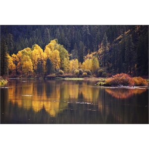 Giant Art 72x48 Mirror Visions Fine Art Giant Canvas Print in Yellow
