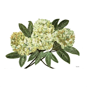 Giant Art 84x54 Fresh Bouquet - Lavender-1 Fine Art Giant Canvas Print in White