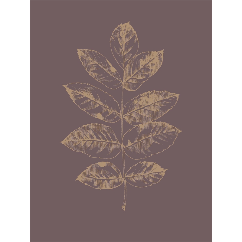 Giant Art 72x54 Botanica 2 Fine Art Giant Canvas Print in Multi-Color