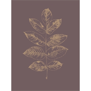 Giant Art 72x54 Botanica 2 Fine Art Giant Canvas Print in Multi-Color