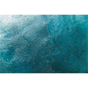 Giant Art 84x54 Water Texture Two Birds Eye Fine Art Giant Canvas Print in Green