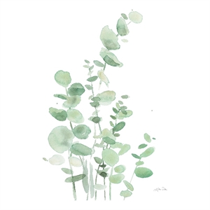 Giant Art 84x54 Eucalyptus I Fine Art Giant Canvas Print in White
