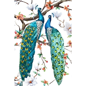 Giant Art 72x48 Paradis Birds I Fine Art Giant Canvas Print in Multi-Color