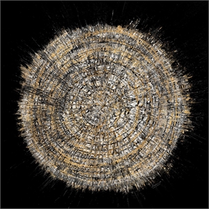 Giant Art 54x54 Mysterious Tree Rings Fine Art Giant Canvas Print in Multi-Color