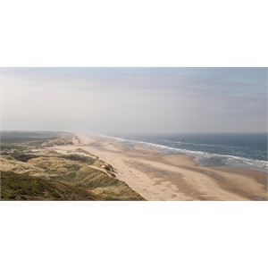 Giant Art 72x36 Endless Horizon Fine Art Giant Canvas Print in Pink