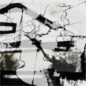 Giant Art 54x54 In Motion III Fine Art Giant Canvas Print in White