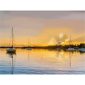 Giant Art 72x54 In the Golden Light IV Fine Art Giant Canvas Print in Yellow