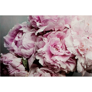 Giant Art 72x48 Peonies Galore II Fine Art Giant Canvas Print in Pink