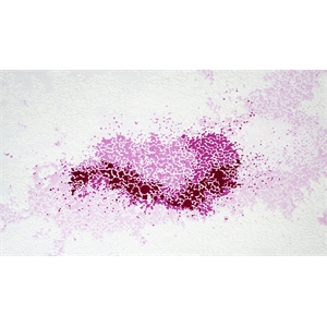 Giant Art 84x48 Hues of Quinacridone Violet Fine Art Giant Canvas Print in Pink