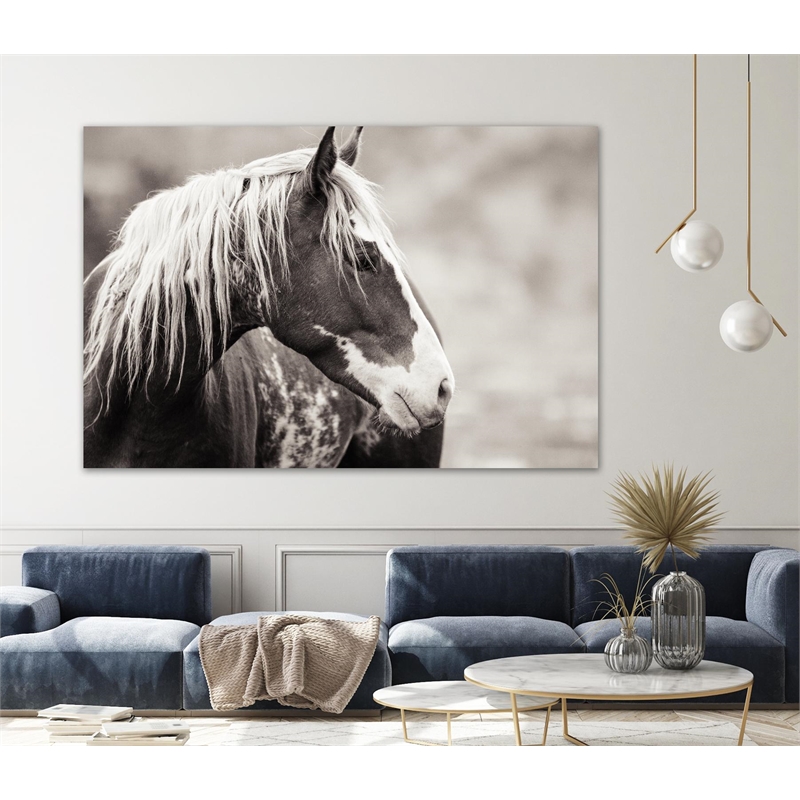Giant Art 72x48 Wild Paint Fine Art Giant Canvas Print in White