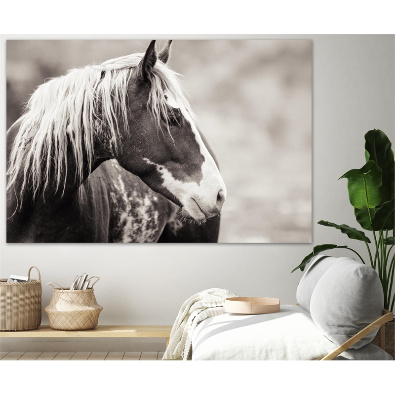 Giant Art 72x48 Wild Paint Fine Art Giant Canvas Print in White