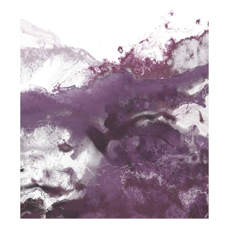 Giant Art 72x54 Orchid Wave IV Fine Art Giant Canvas Print in Pink